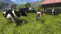 Rinder in der Farming Simulator 2013