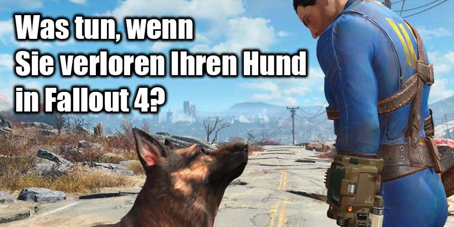 Fehlende Dogmeat in Fallout 4