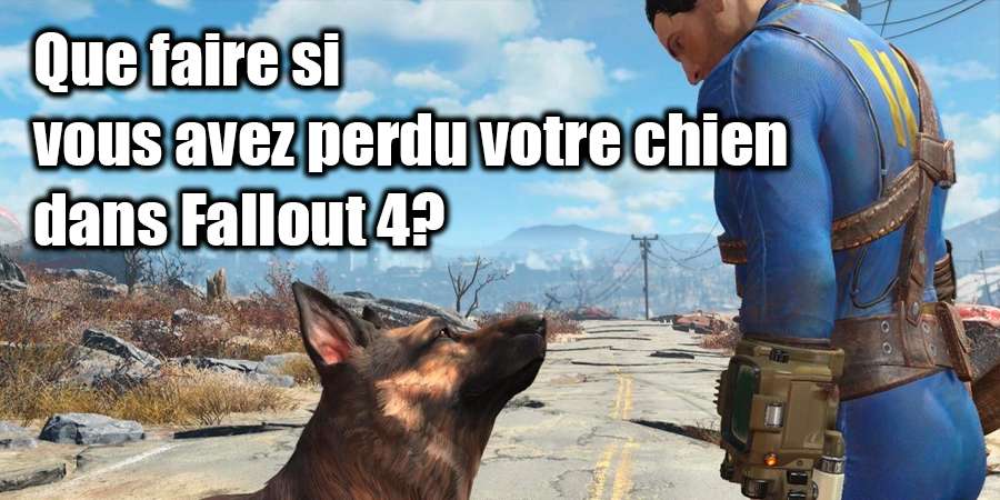 Manquant Dogmeat dans Fallout 4