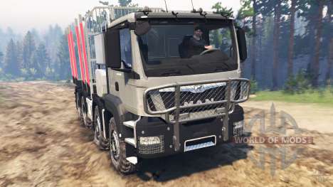 SpinTires MAN TGS 41.480