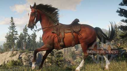 How to train a horse in Red Dead Redemption 2