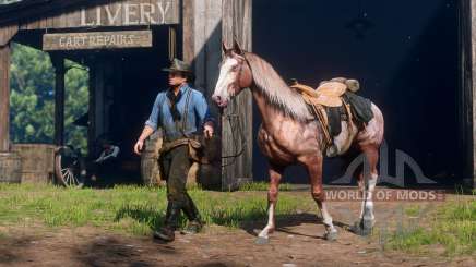 How to train a horse in Red Dead Redemption 2