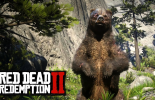 Red Dead Redemption 2: tuer l'ours
