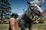 Red Dead Redemption 2: wie zu reinigen ein Pferd