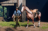Pferd in Red Dead Redemption 2: wie trainieren S