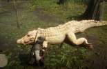 Guide sur la chasse pour un légendaire alligator