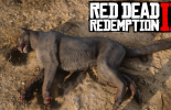 Panthère dans Red Dead Redemption 2: où les trou