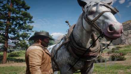 Comment brosser un cheval dans Red Dead Redemption 2 – conseils d'entretien