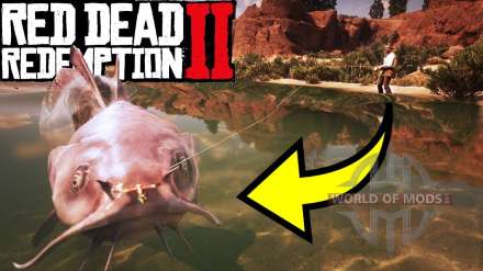 Légendaire poisson-chat dans Red Dead Redemption 2 - comment l'attraper?