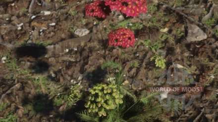 Red Dead Redemption 2 - wo sich die pflanze Schafgarbe