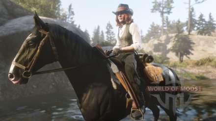 Comment obtenir le cheval de guerre dans Red Dead Redemption 2 – des conseils et des recommandations
