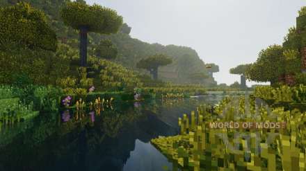 La vie dans les Bois - un mot nouveau dans Minecraft